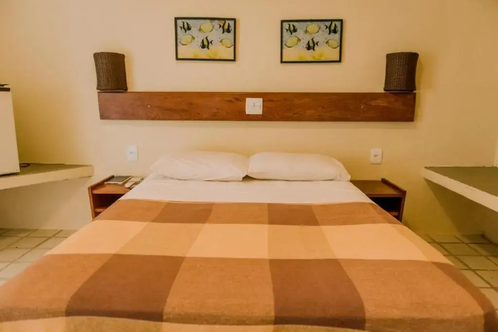 Rede Andrade Baía dos Corais