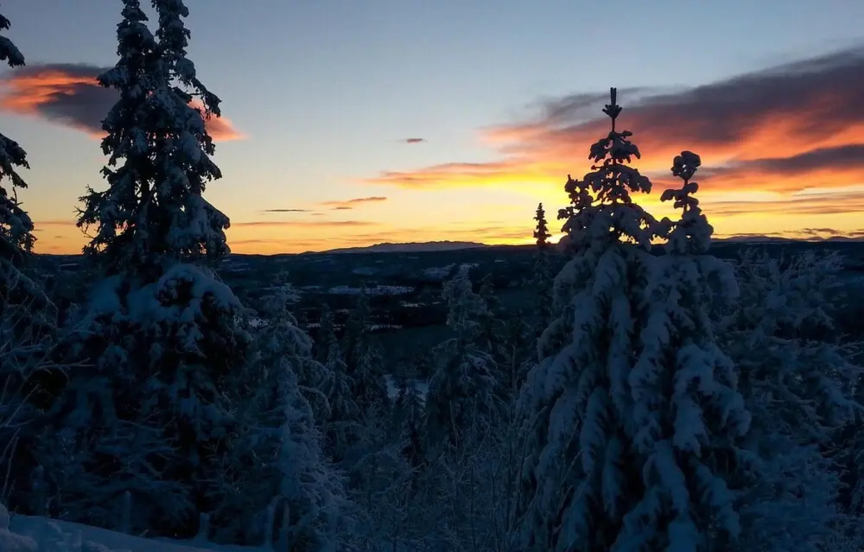 Stunning Home in Svingvoll With 3 Bedrooms and Sauna