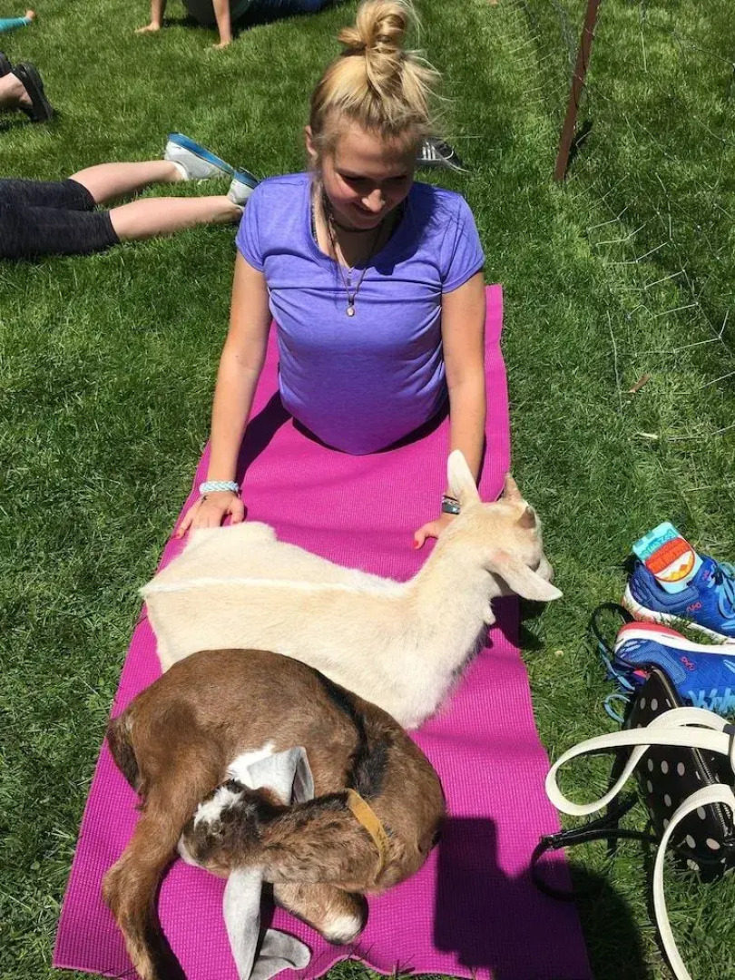 Rainbow Ridge Farms Bed and Breakfast Onalaska/La Crosse