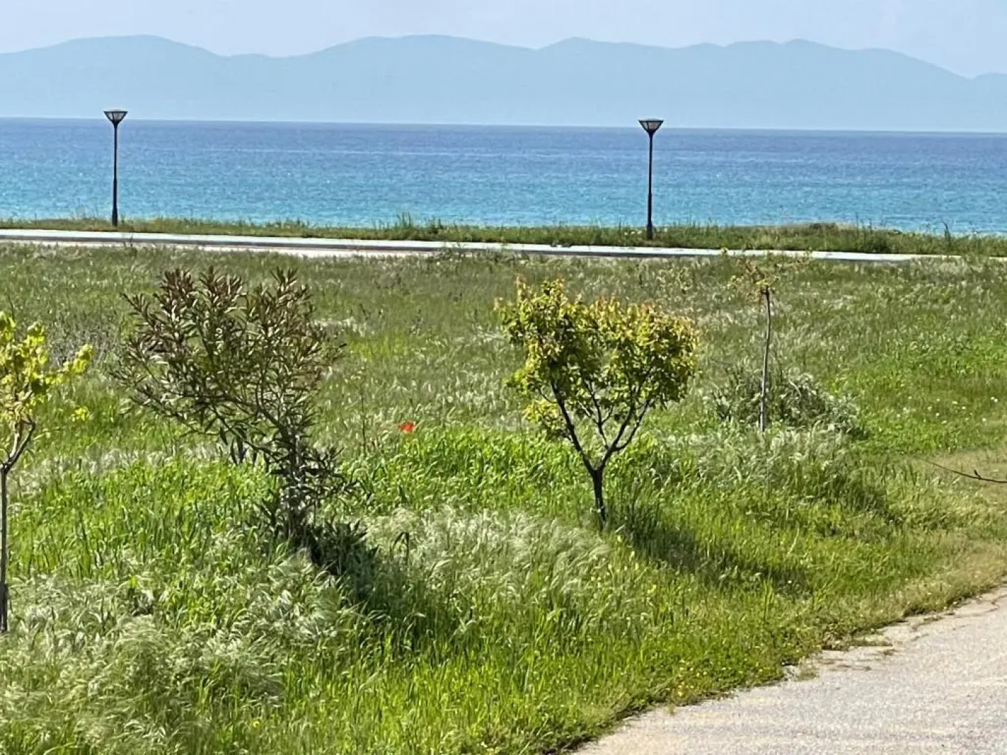 V&Z Apartment Seaview