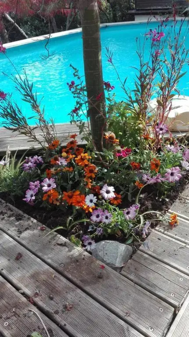 Oliveraie de la Leuziere