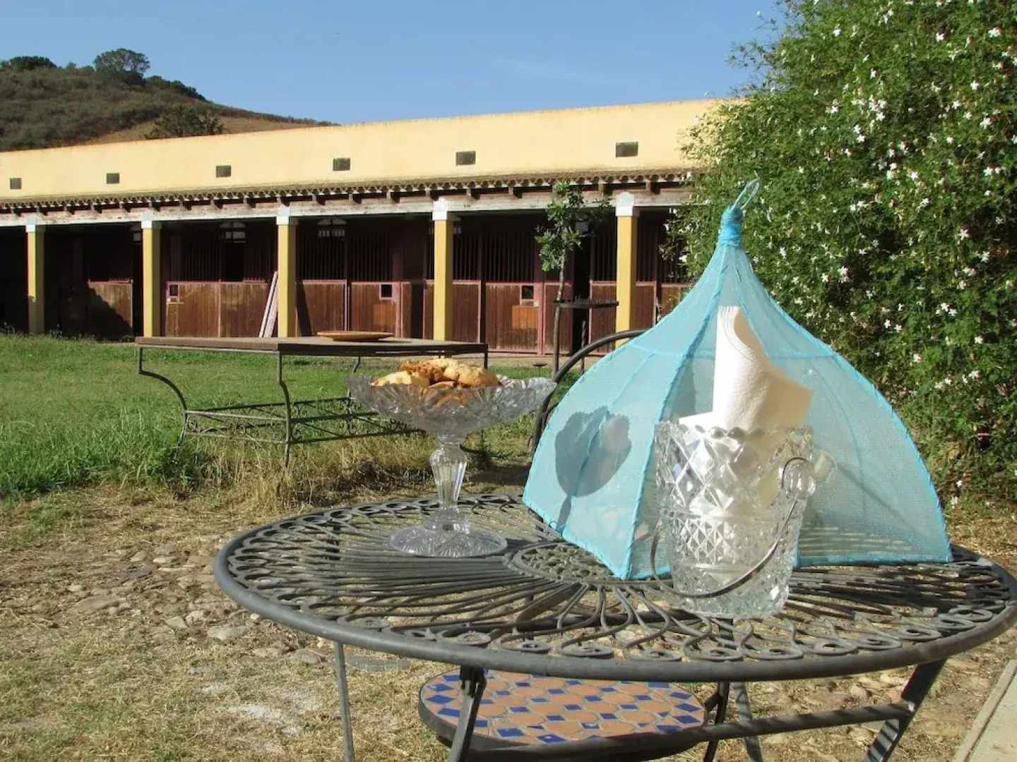 Cavalli di S'Arcaite