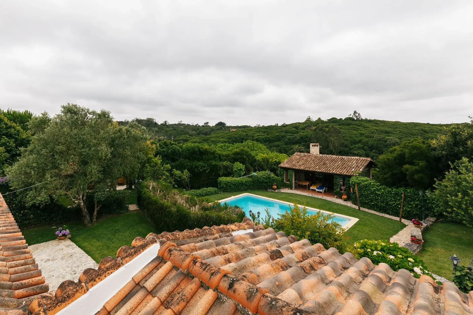 Country Village Senses