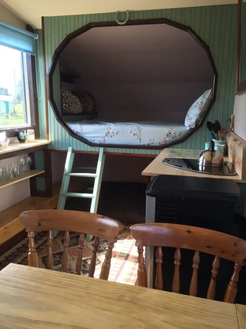 Balloch O'Dee - Bluebell