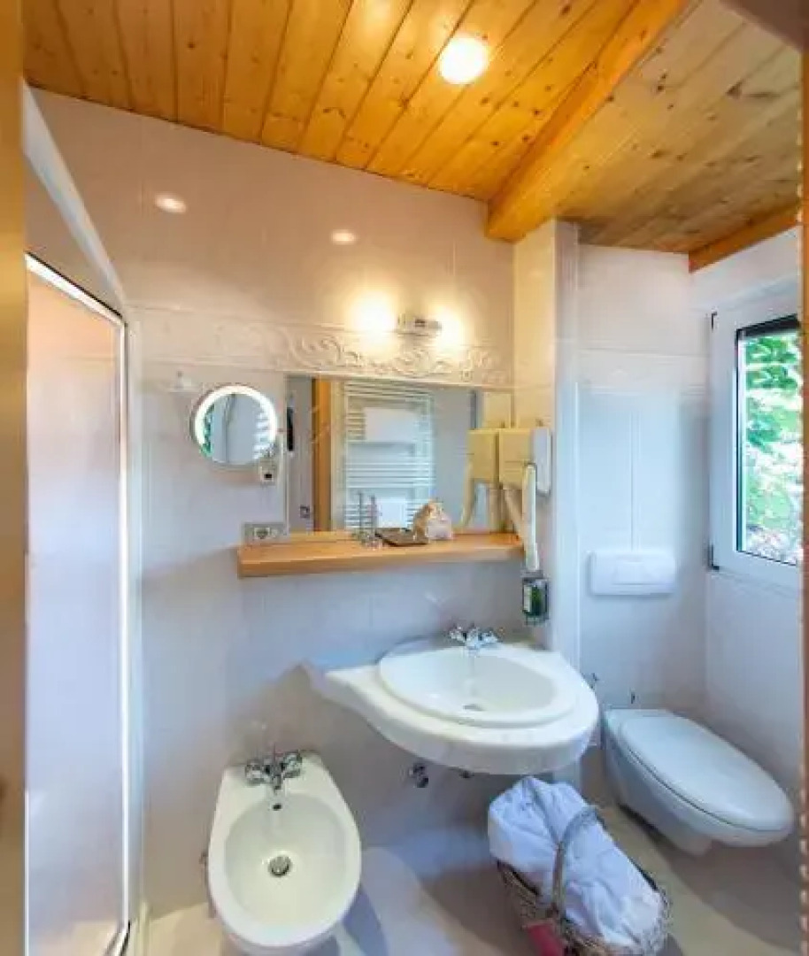 Alp & Wellnes Sport Hotel Panorama