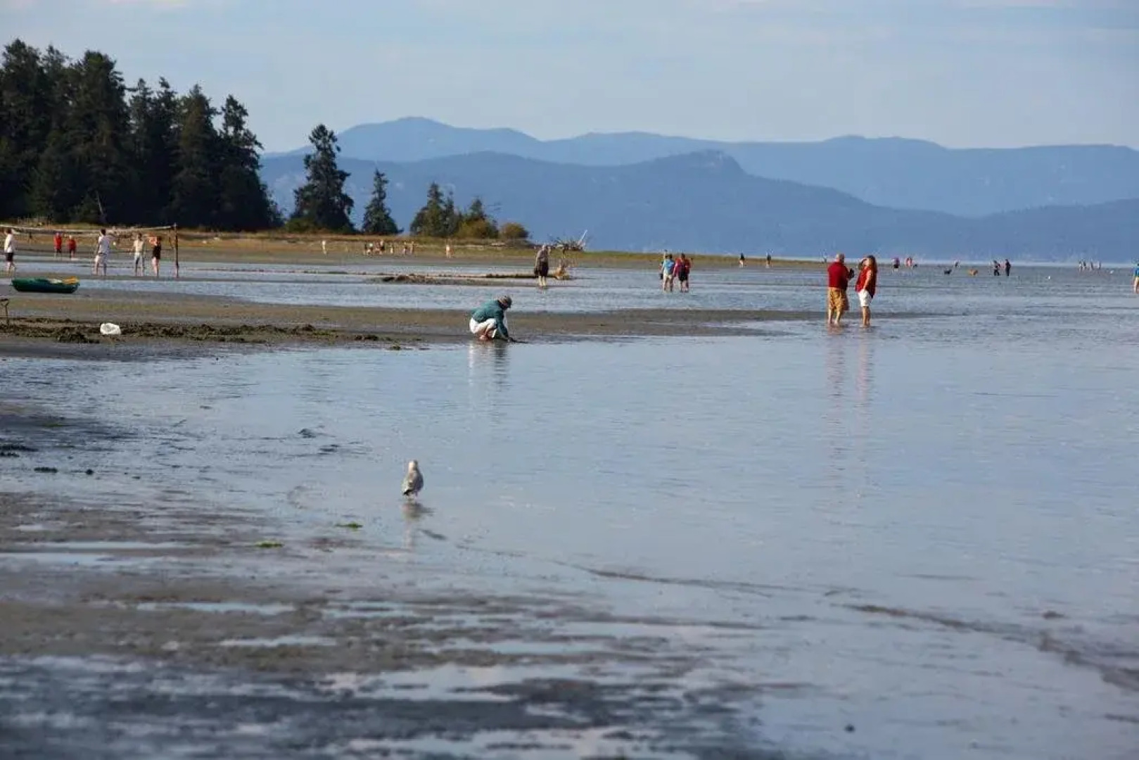 Madrona Beach Resort