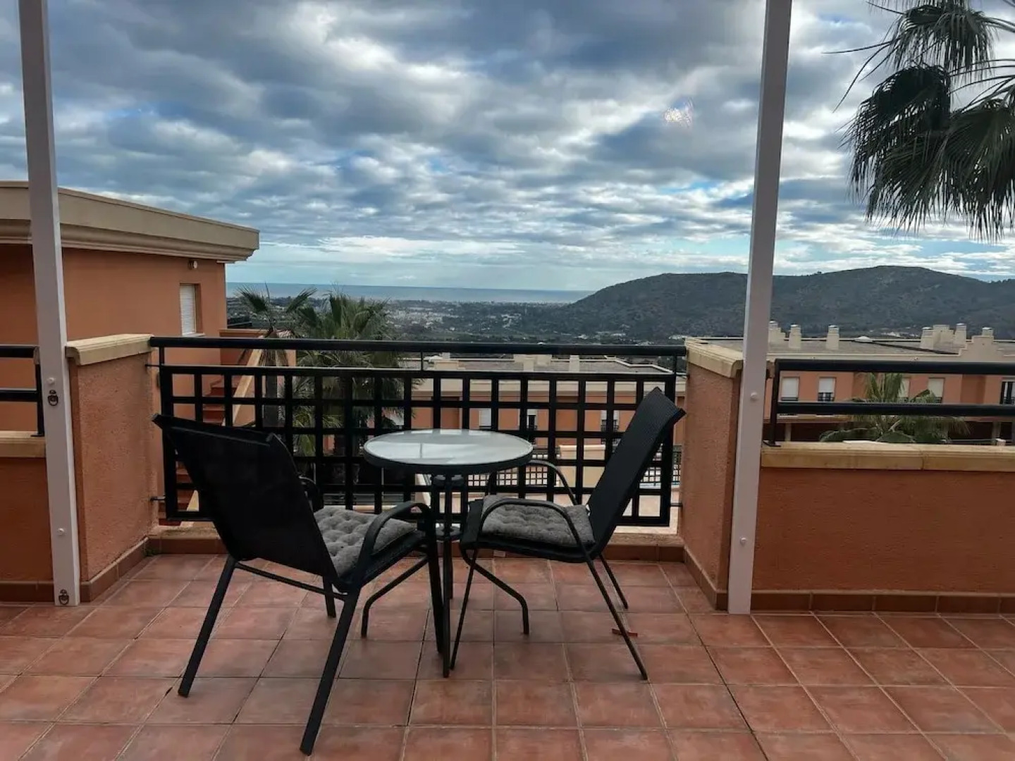 Jacaranda in Pedreguer