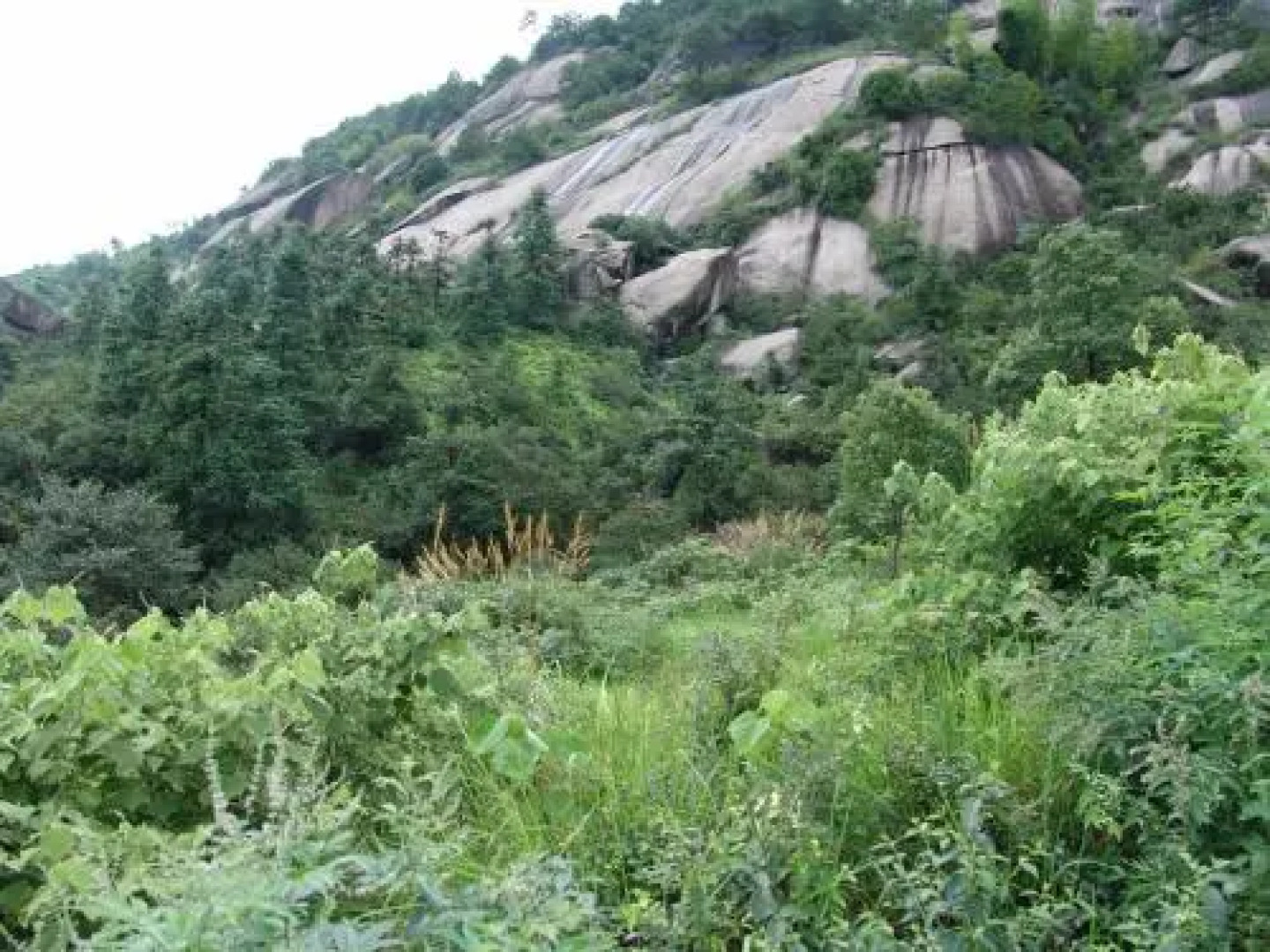 Sanqing Mountain Quanlin Farm Stay