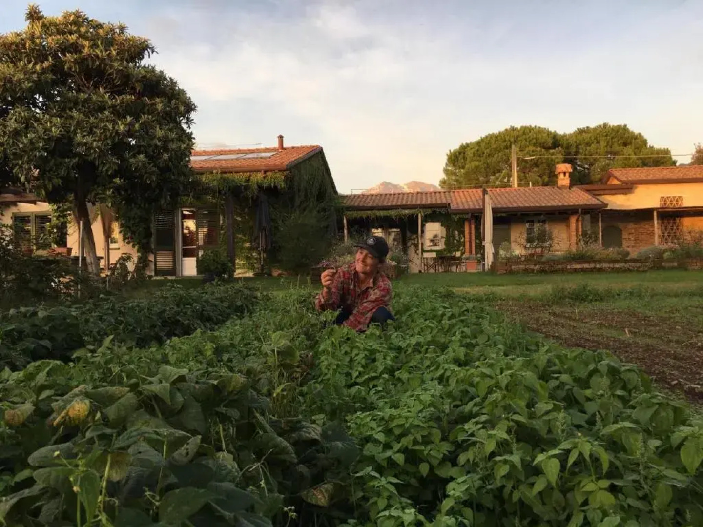 Olimagio Holiday Farm with animals and 25m pool, beach at cycling distance