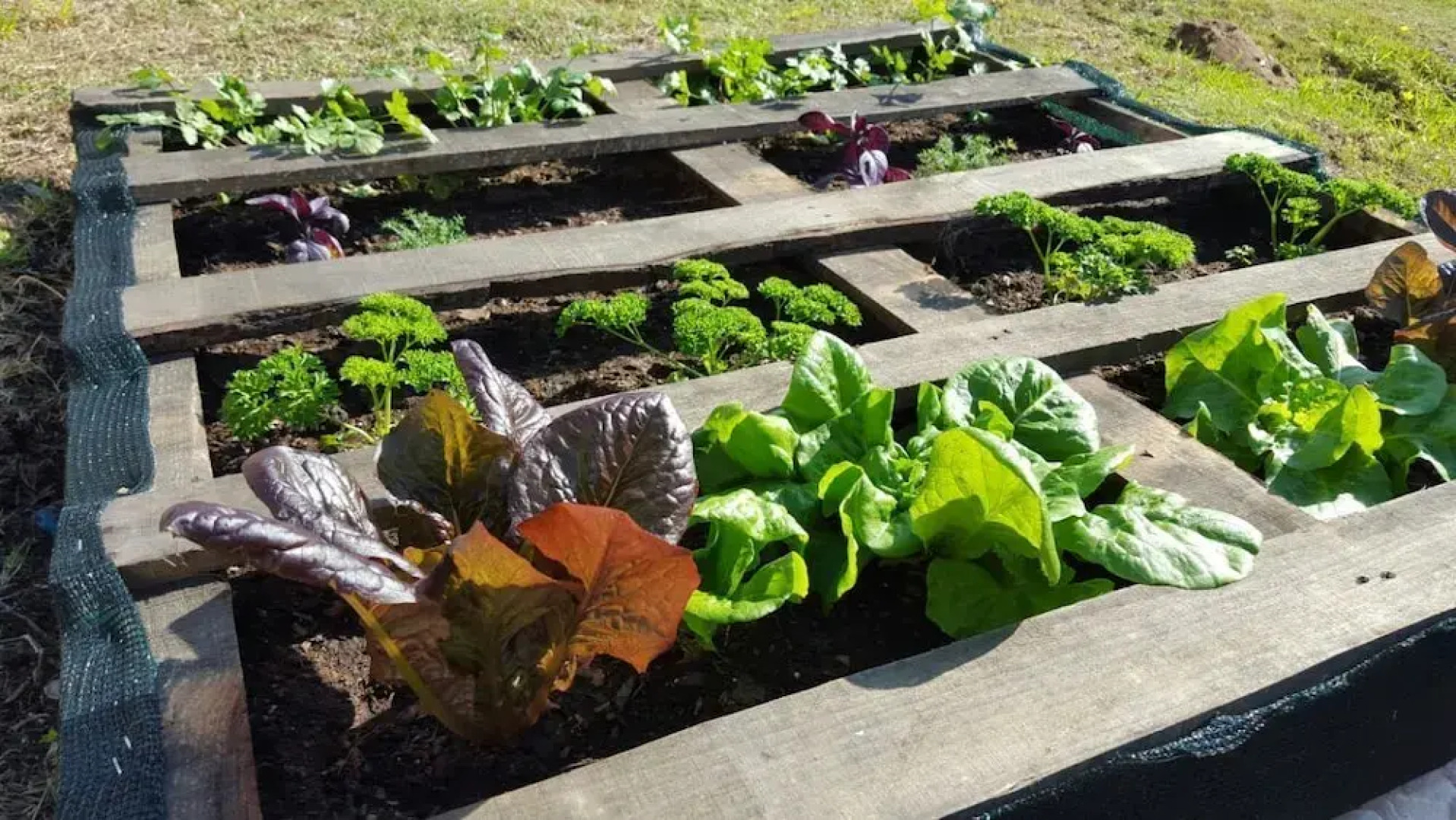 The Backpack Shack - Hostel