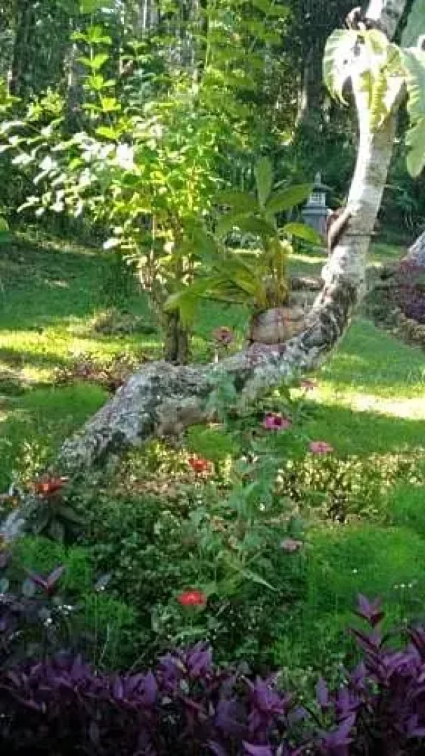 Balian Bliss Retreat Resort - Adults Only