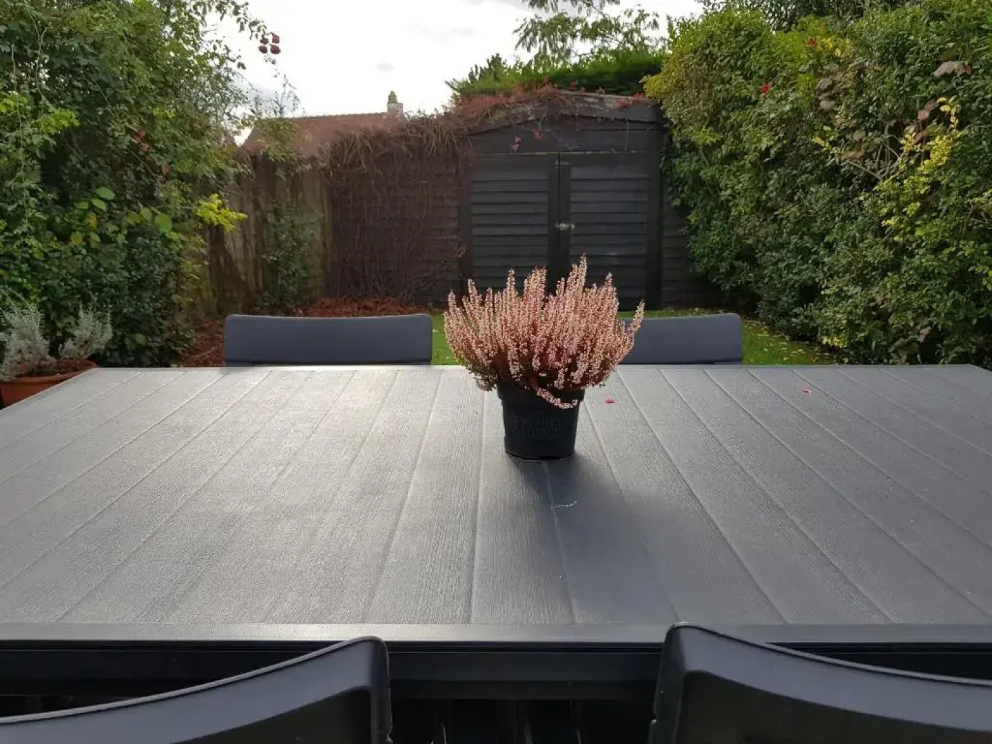 Duinenhuis Zeepolder 28