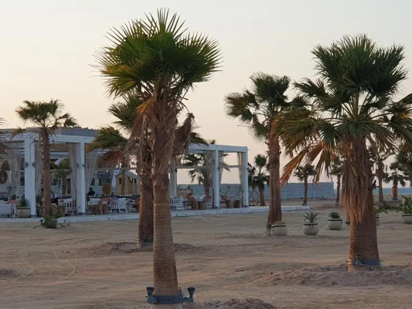 luxury apartment at Mangroovy El Gouna