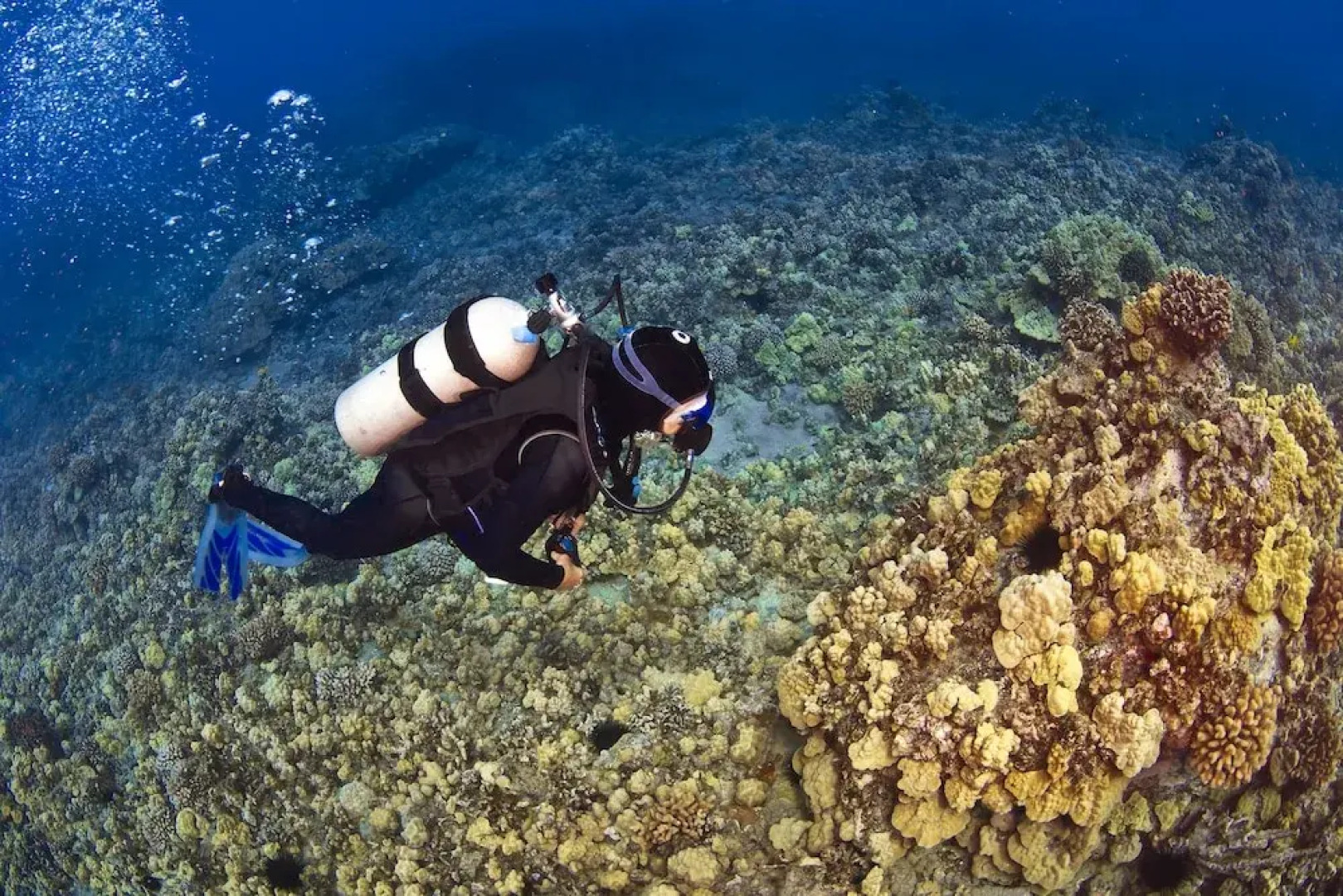 Aina Nalu G102 by RedAwning