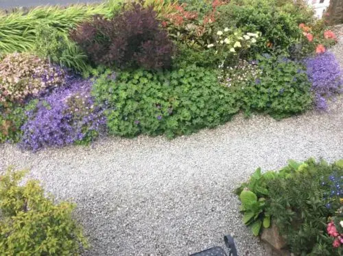 Rose Cottage Bed & Breakfast