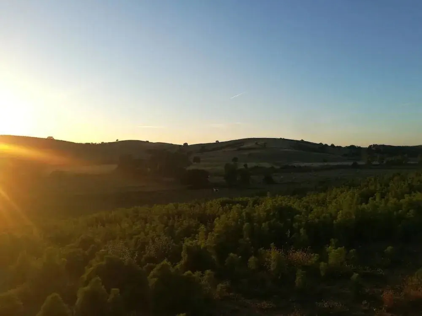 VILLA in TUSCAN MAREMMA. SEA&COUNTRYSIDE CAPALBIO Holiday home 8 BestStayz.1