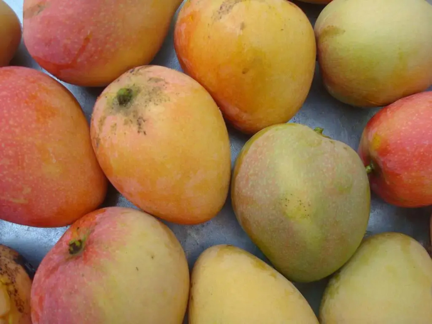 Bitingui Praia Hotel