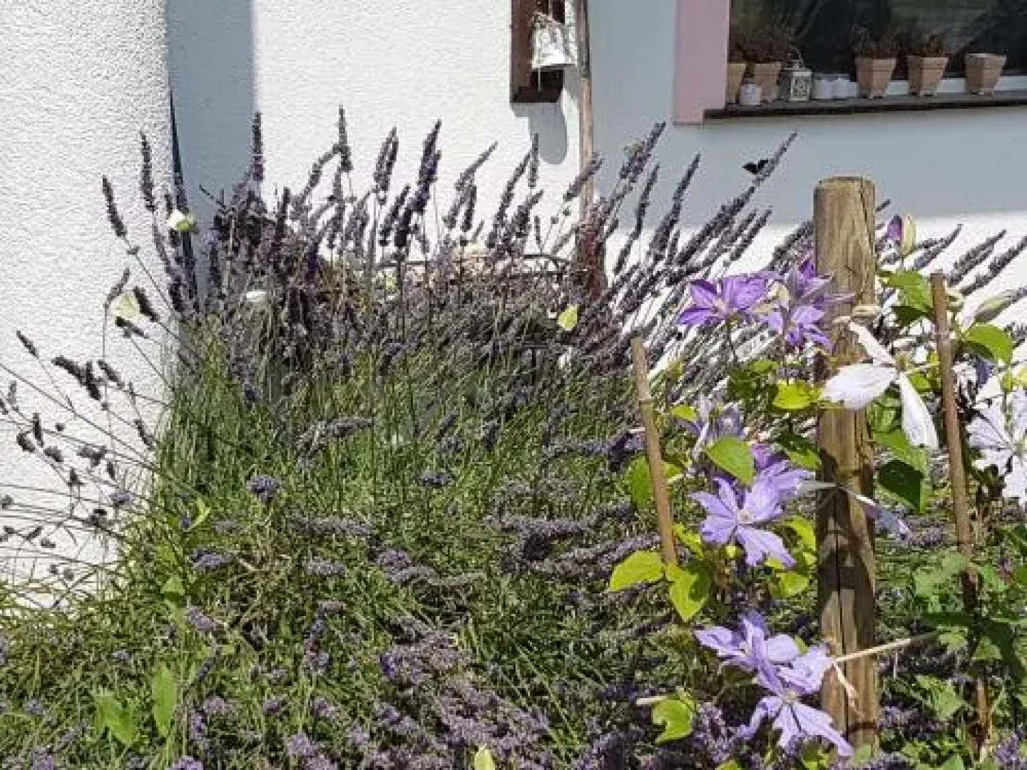 Noclegi Biała Róża