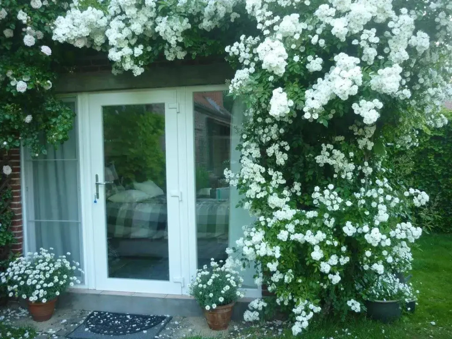 La Stanza Della Farfalla