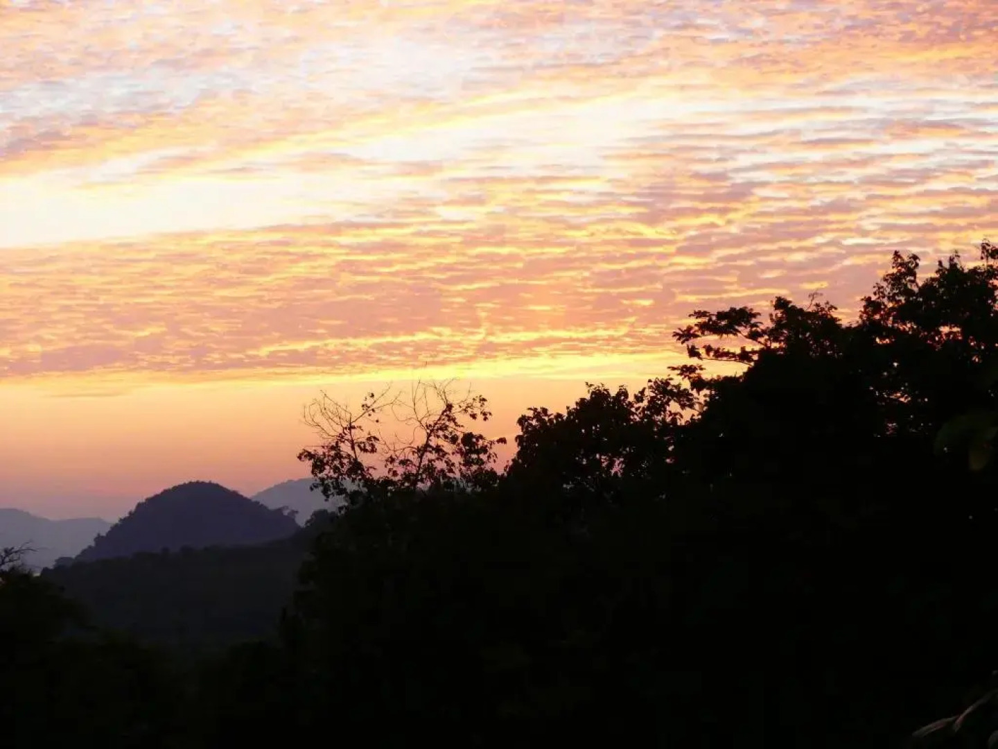 Good Morning Bungalow