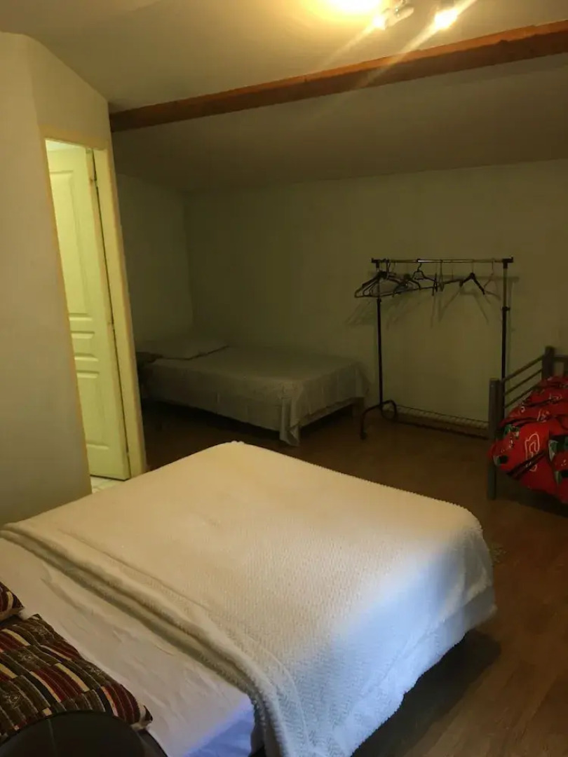 Le Palmyre Soleil de l'Amazonie