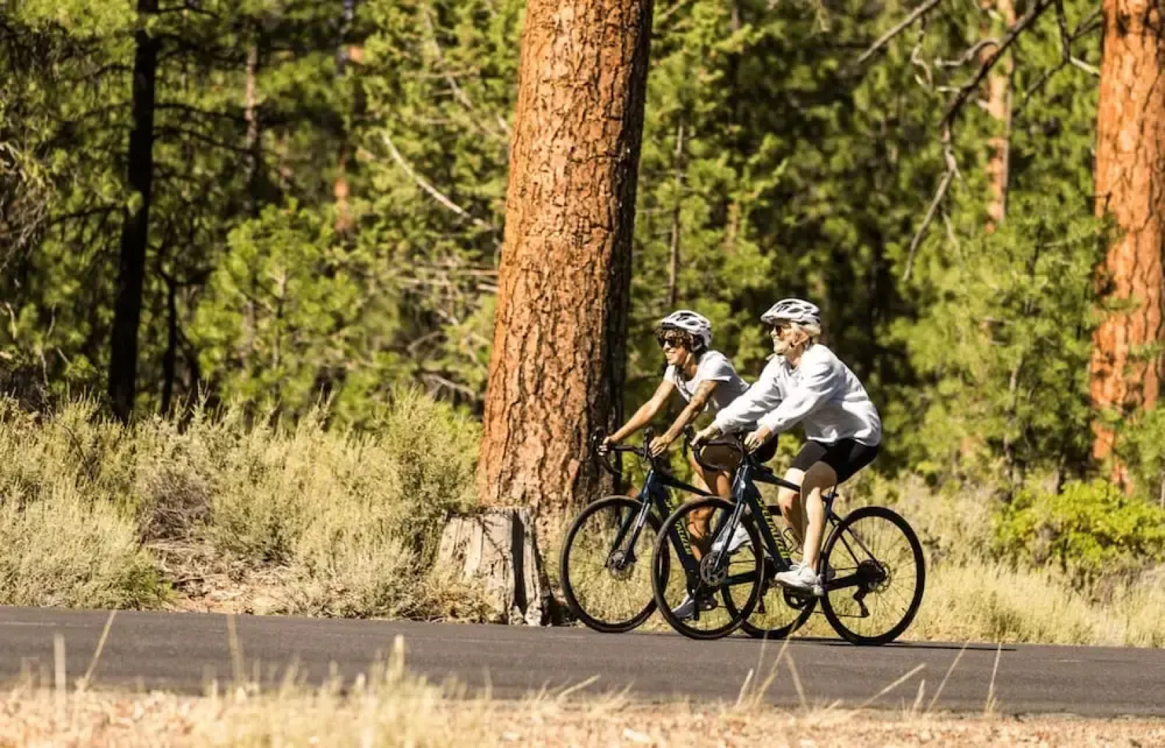 Pine Mountain - Unit 13