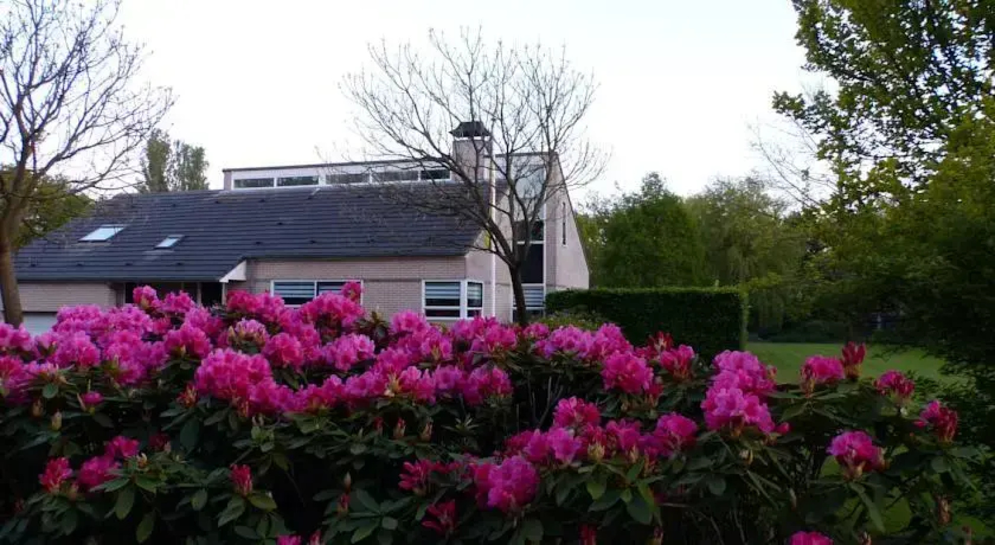 Bed&Breakfast Het Groene Veldt