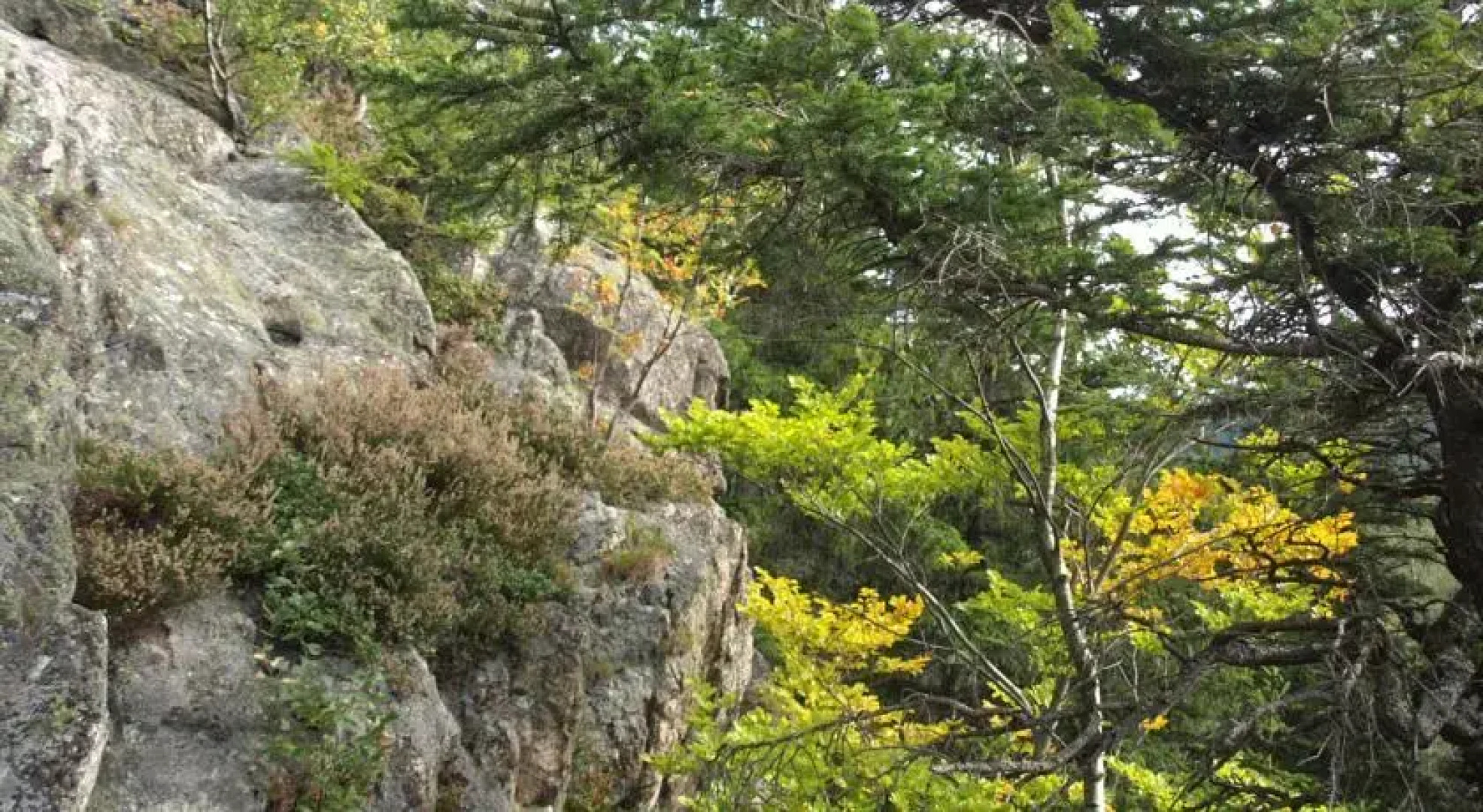 Pensjonat Widok - Bike Hotel