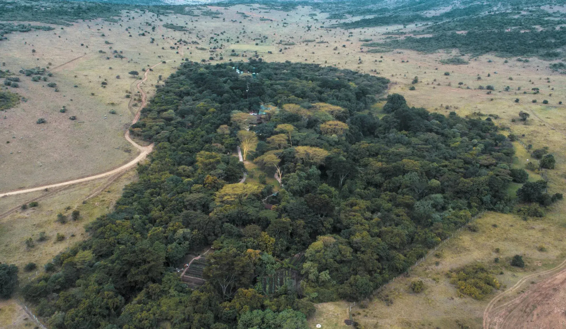 Sarova Mara Game Camp