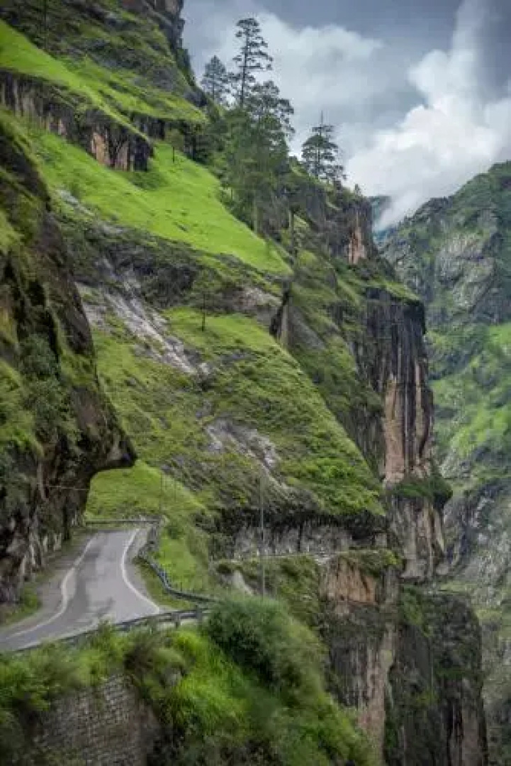 The Monk by Livingstone