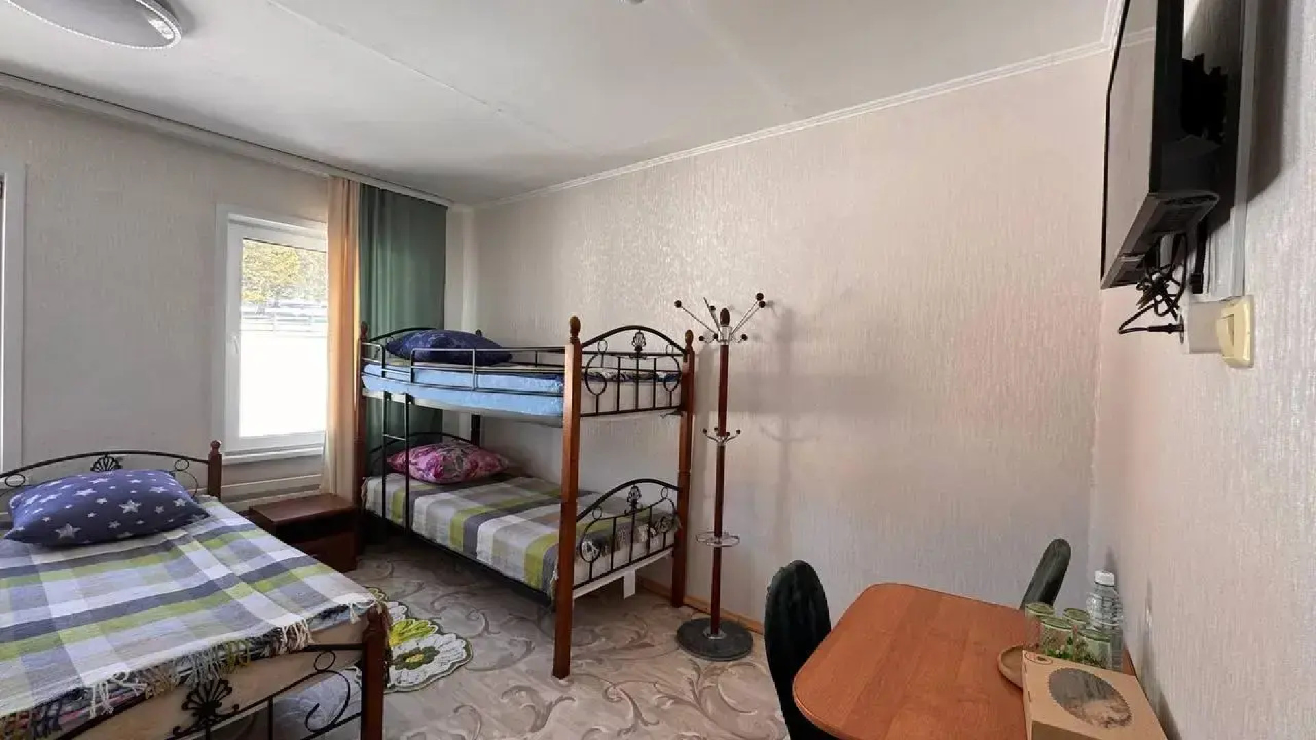 Кедр Золотой