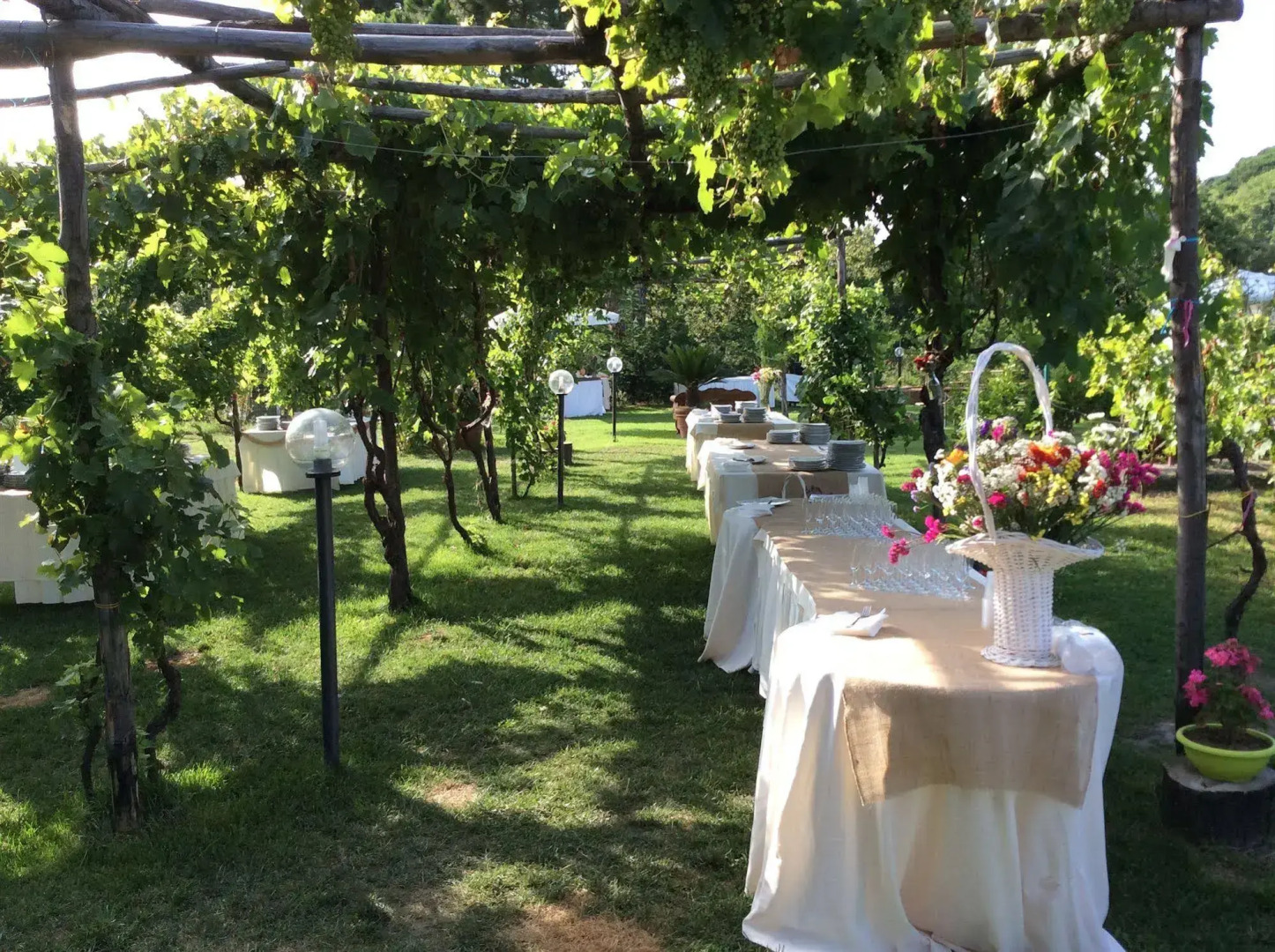 Tenuta Le Fornacelle