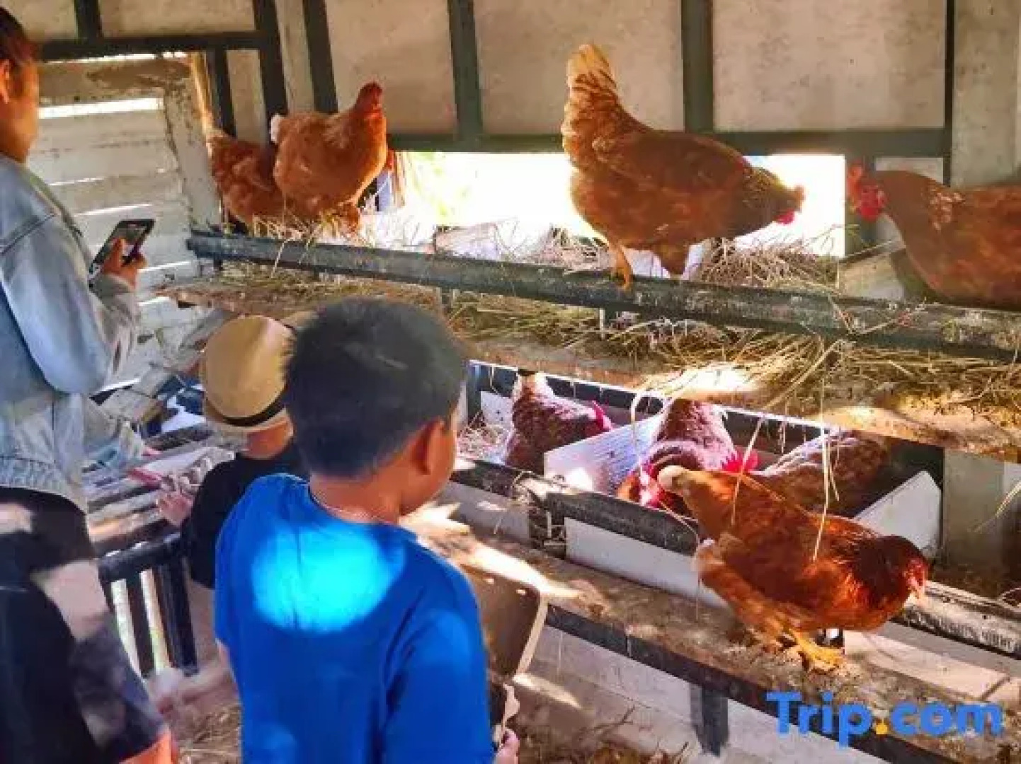 Tantai Eco Farm Stay at Khao Yai