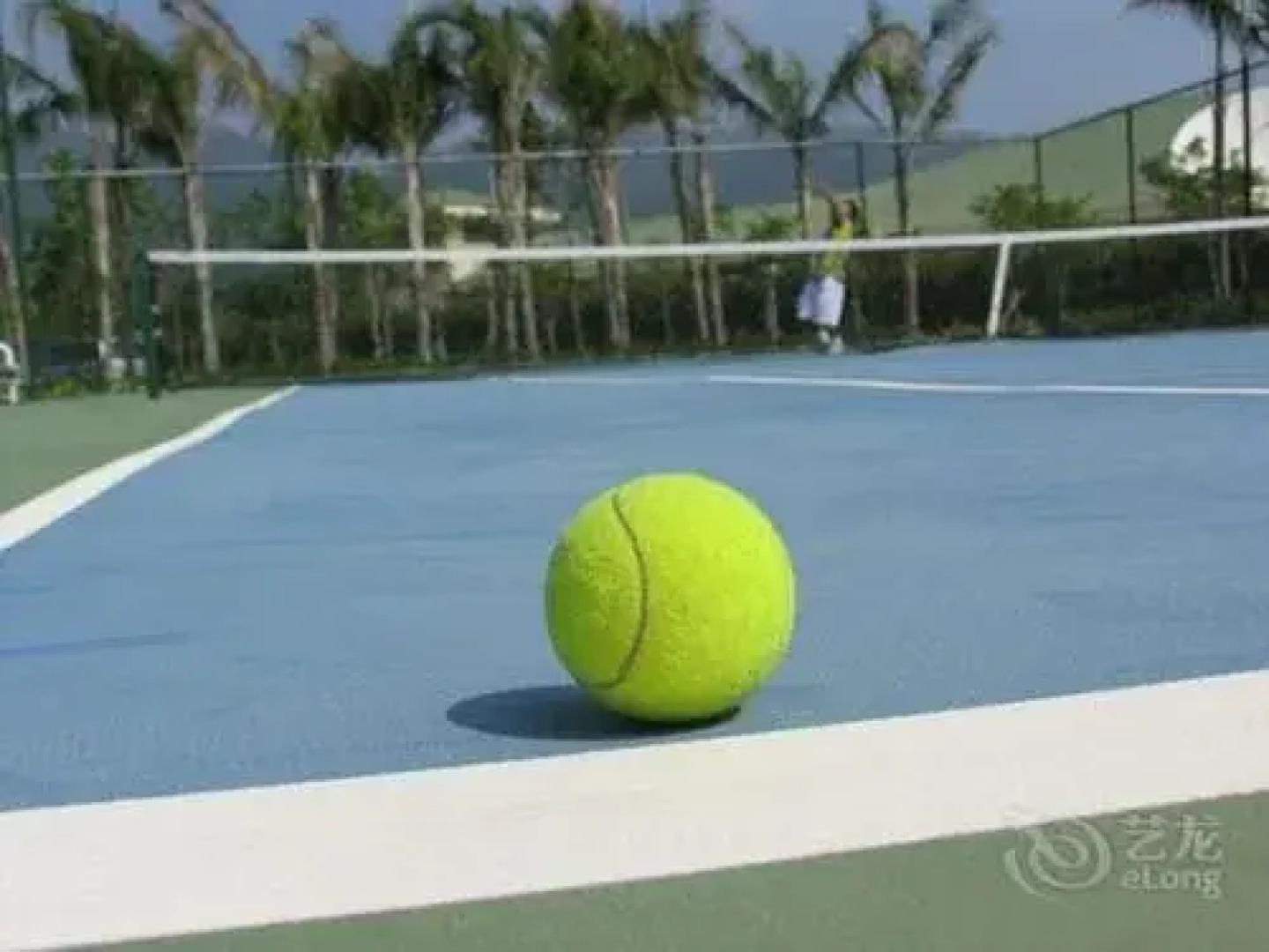 Century Palace Hotel