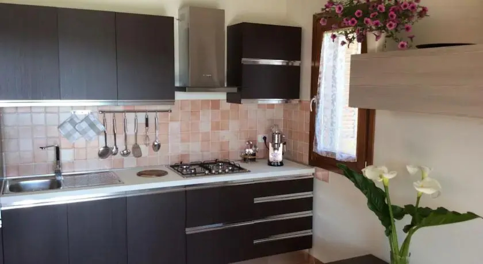 Memories - Le Bacche di Maiorca