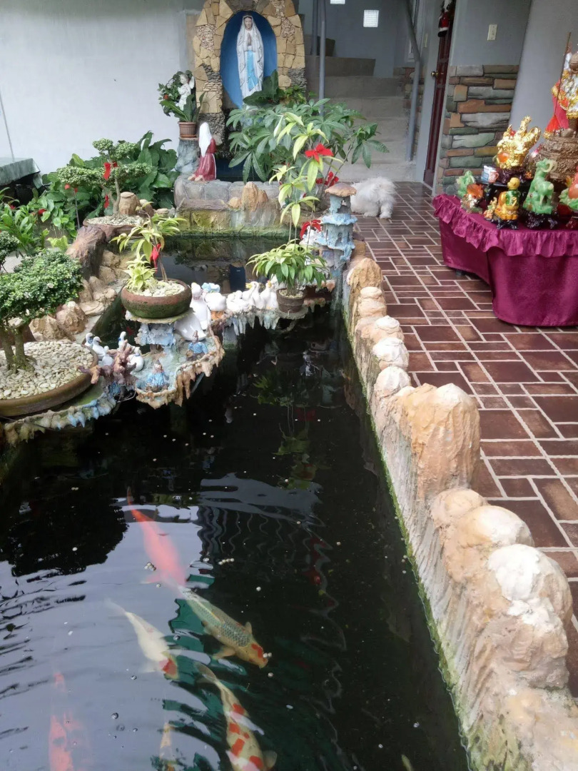 First Baby Bytes Guest House