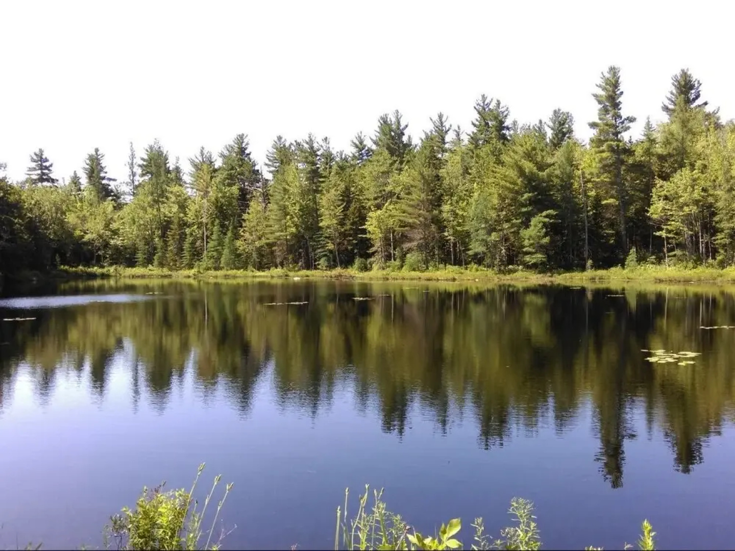 Tentrr - Pondwood Pines in Wonalancet