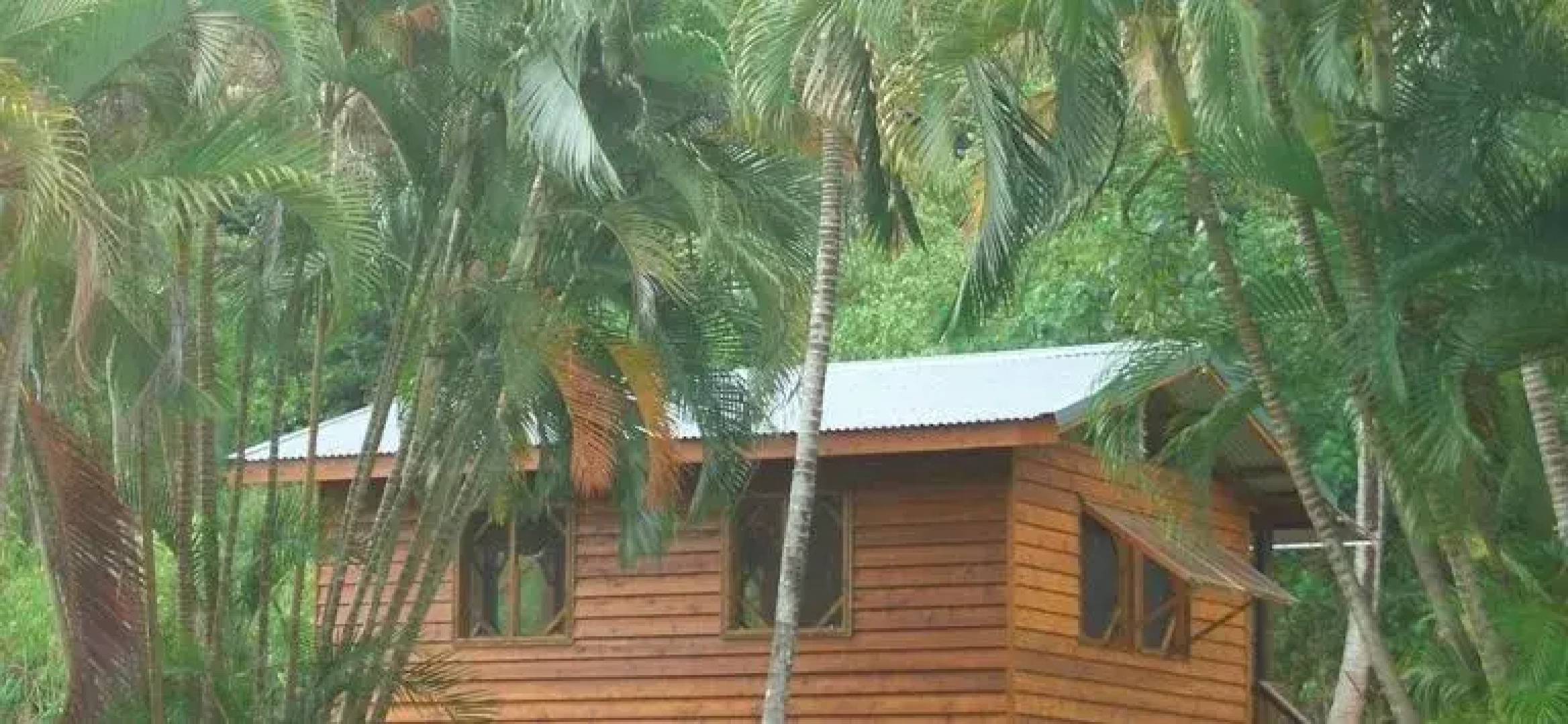 Daintree Rainforest Bungalows
