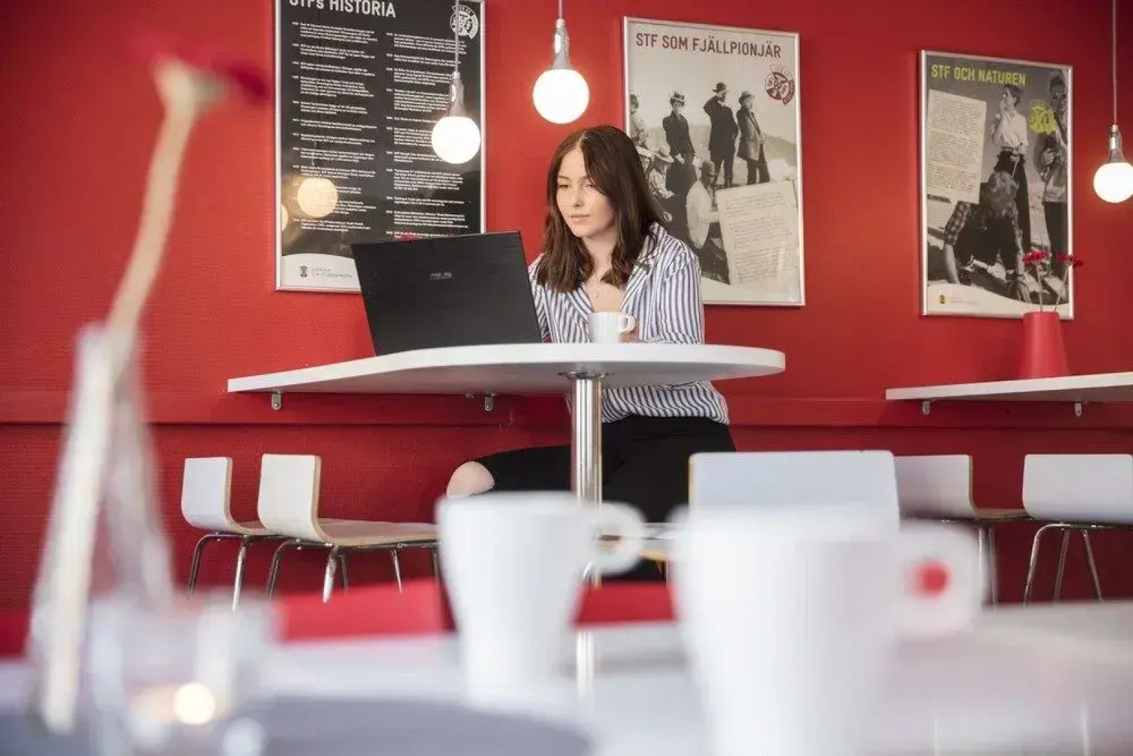 STF Umeå Vandrarhem