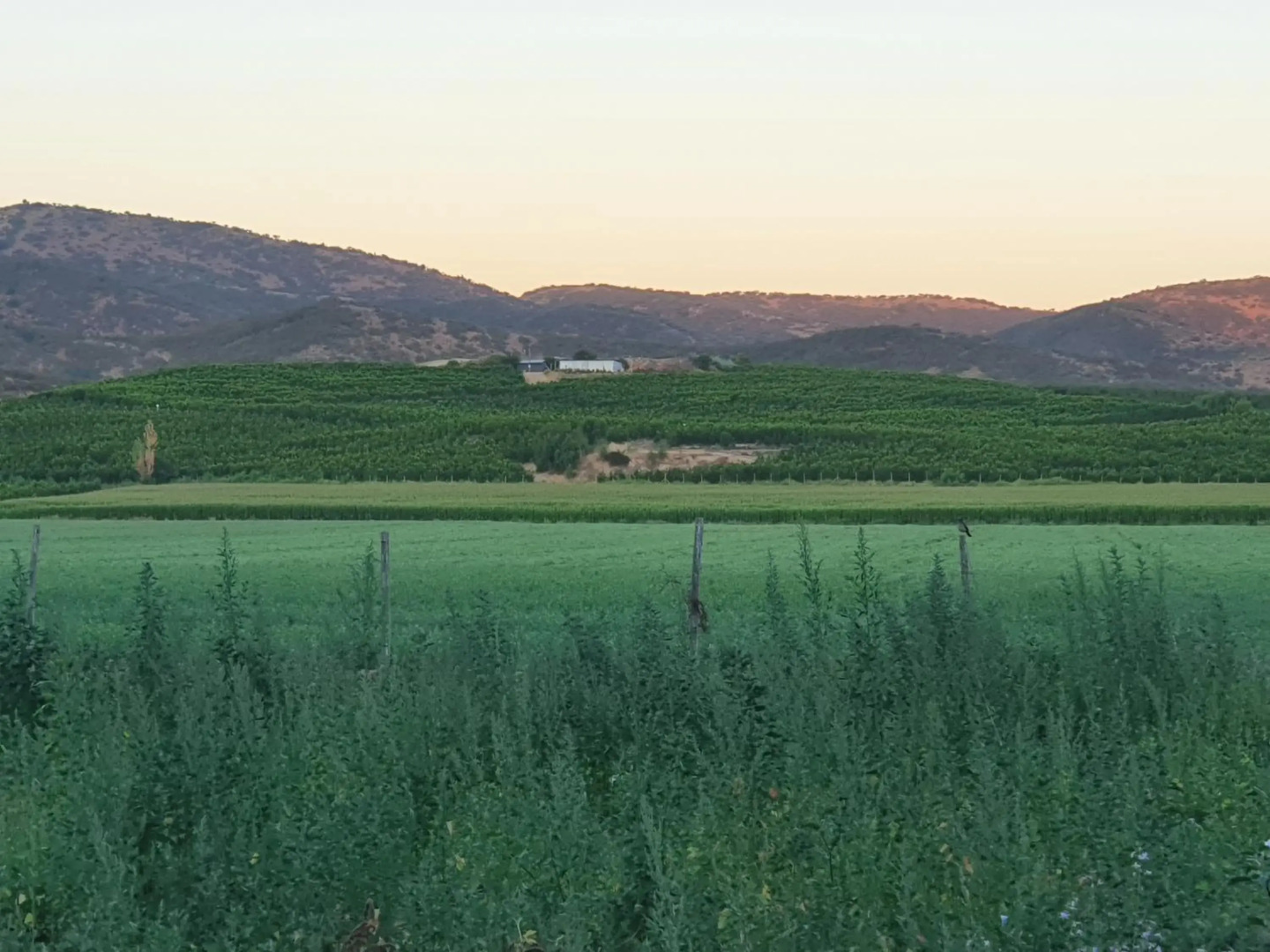 Parcela de 3 hectáreas con orilla de Lago