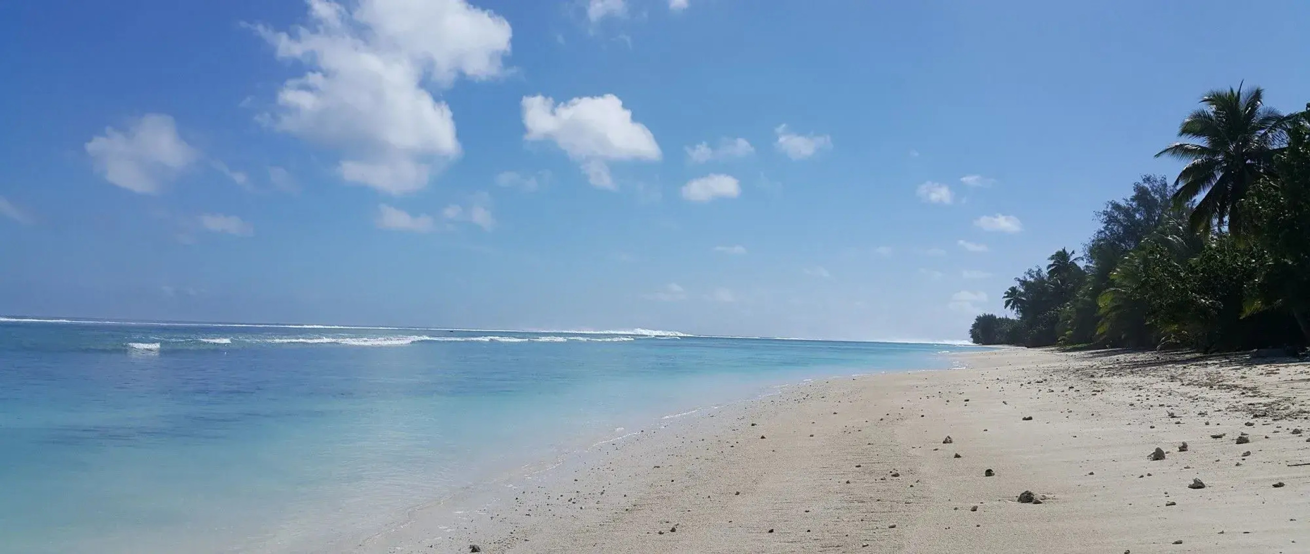 The Black Pearl Beach Side Apartments