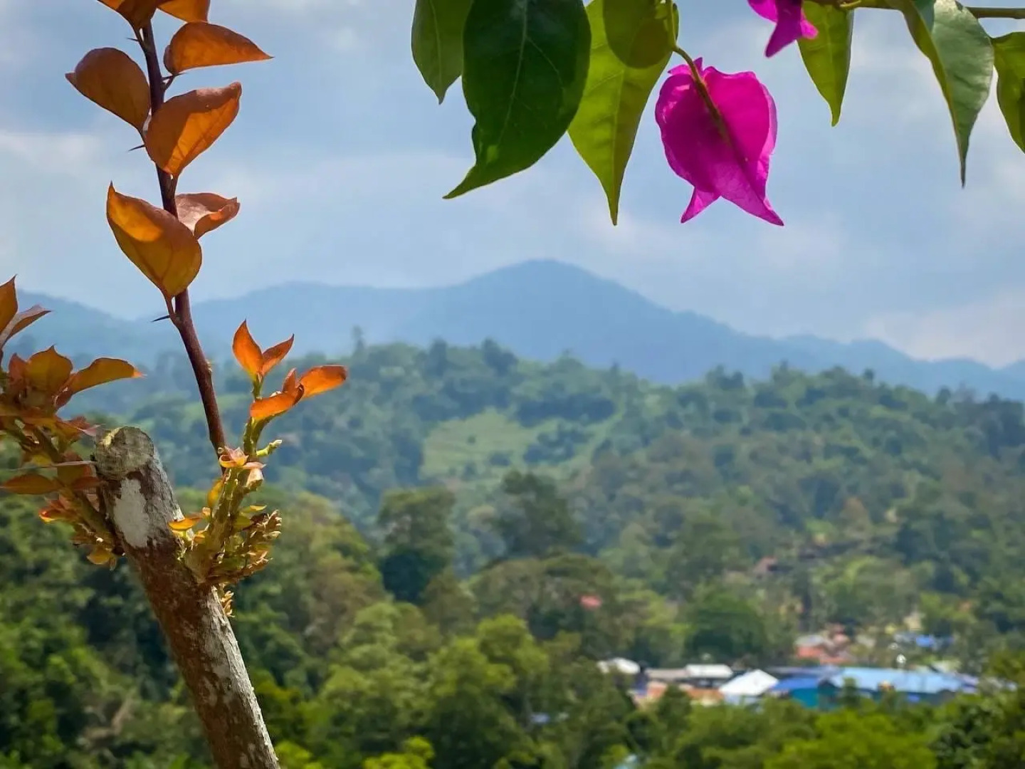 Cherengin Hills Convention & Spa Resort