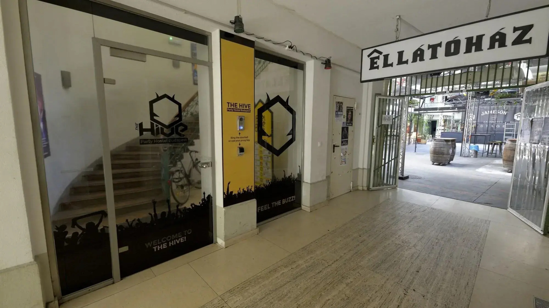 The Hive Party Hostel