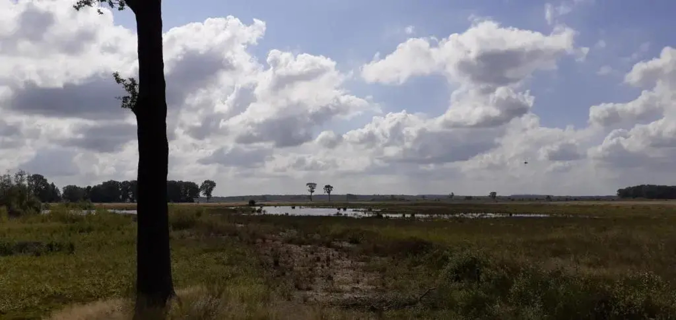 Drentse bungalow in natuur en rust