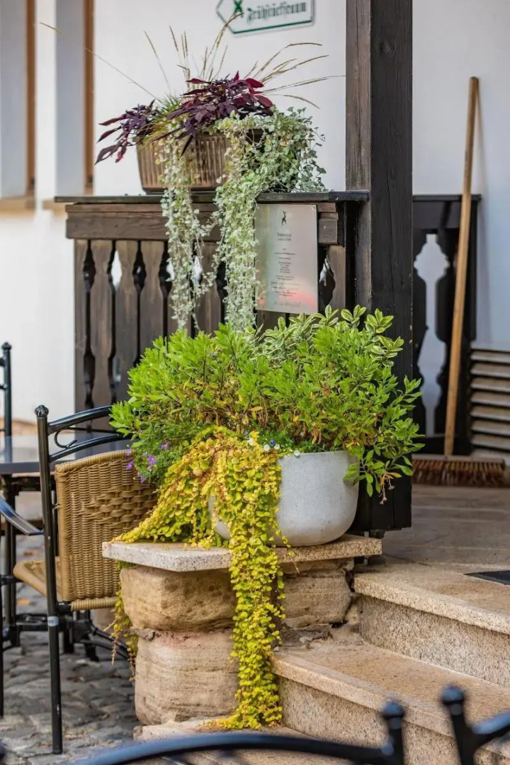 Gasthaus Goldener Hirsch