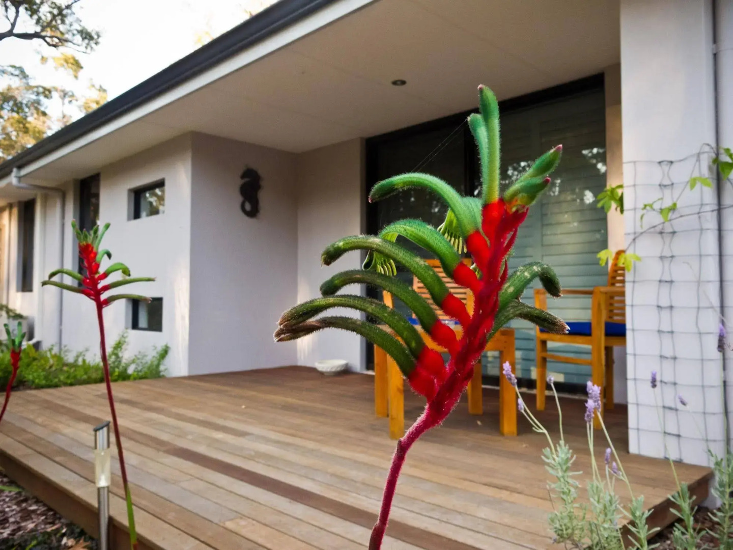 Seclusions of Yallingup