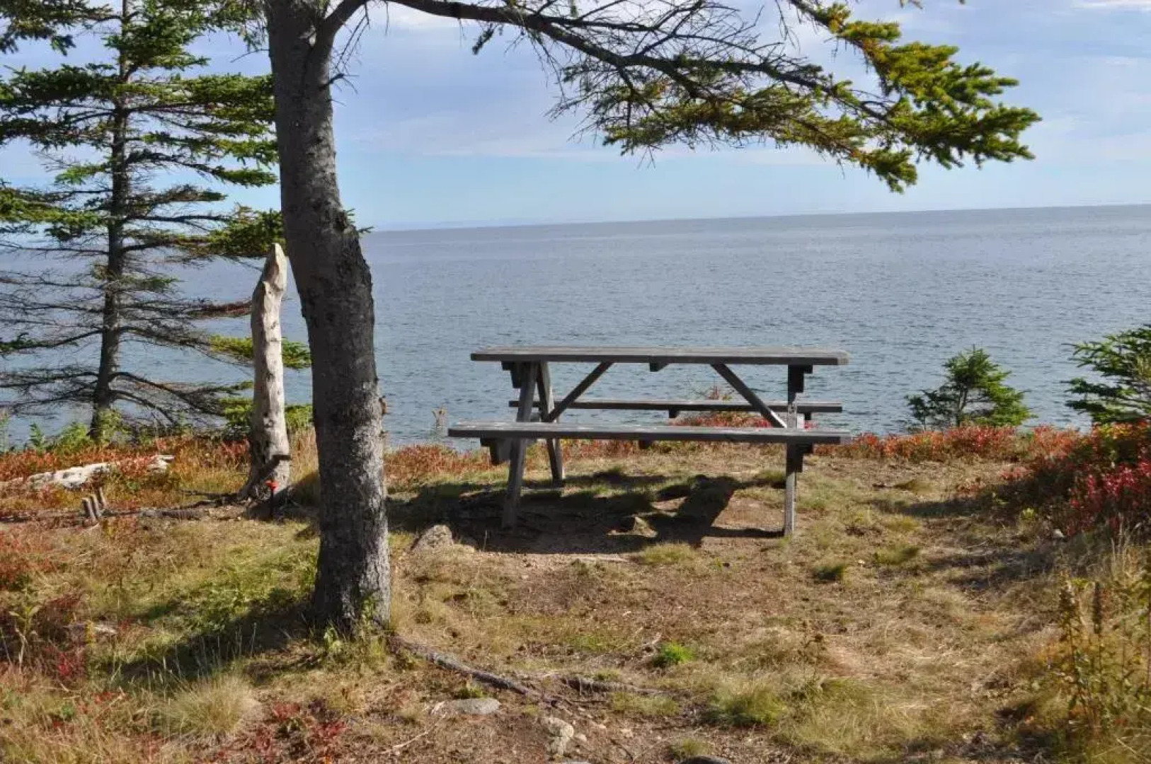 The Dancing Moose Cafe