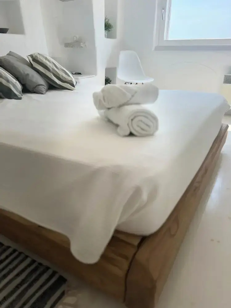 Luxurious Villa Oasis in Paros
