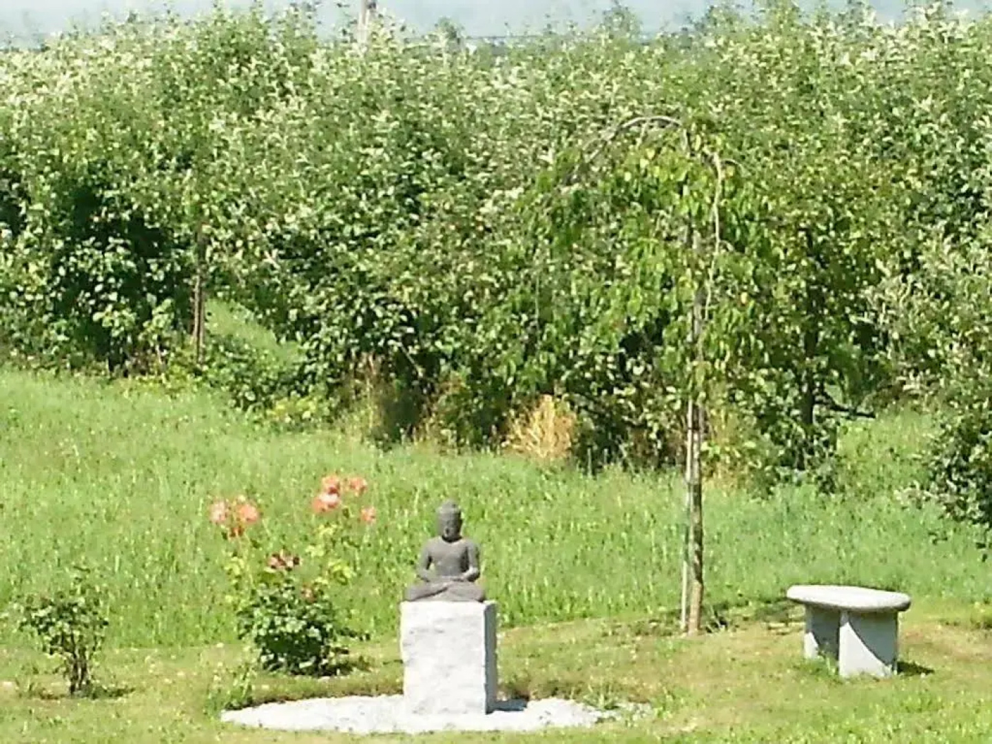 Wohlfühlhotel Sonnengarten
