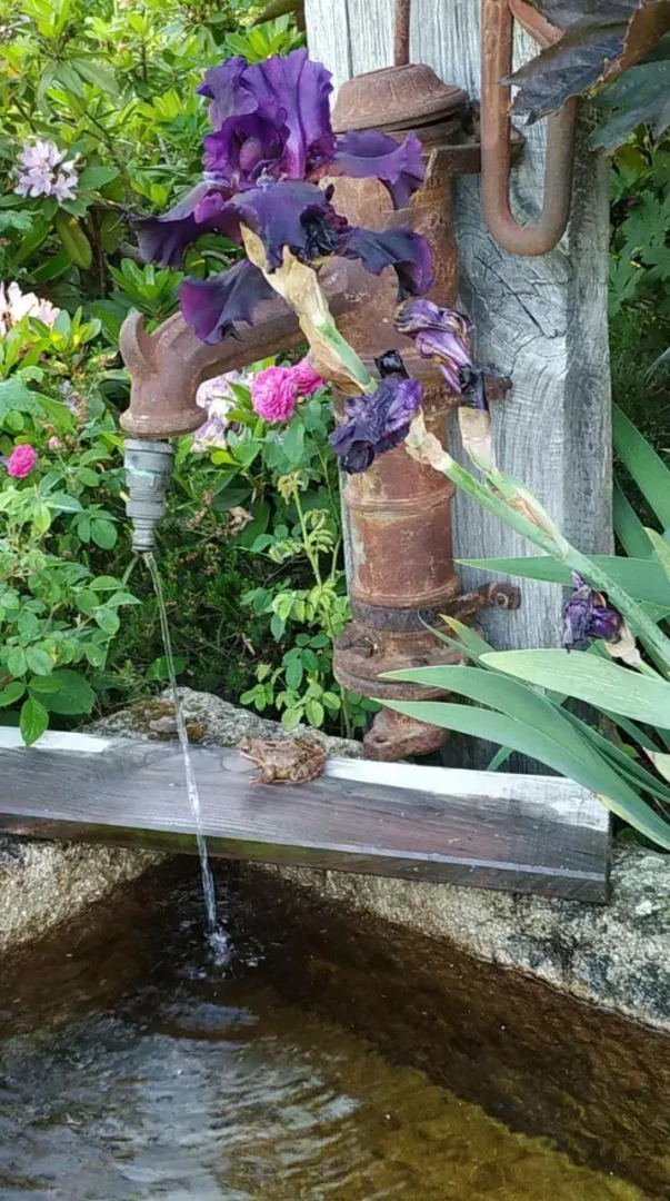 Re(S)Source (Adults Only)